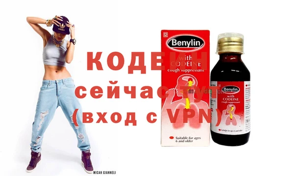 прущие грибы Балахна